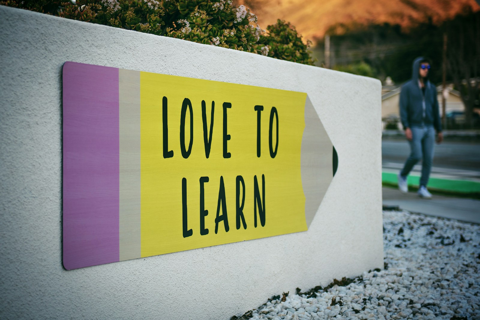 Students Need Some Time That Adults Do Not Organize